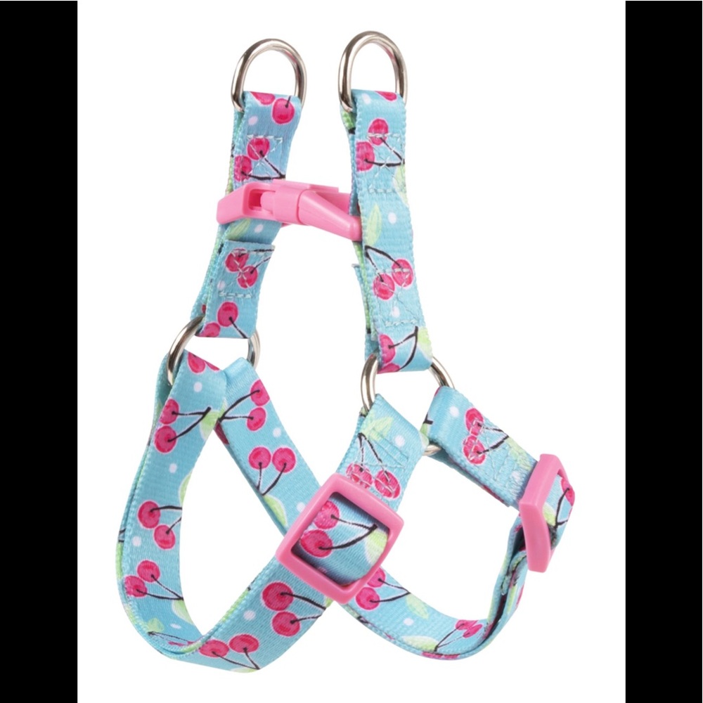 Harness and leash for small pet. Sizing in pics.